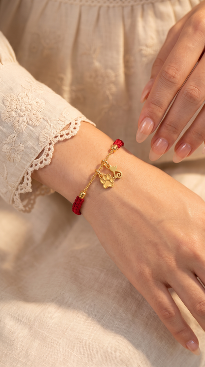 Paws and Pets Silver Rakhi