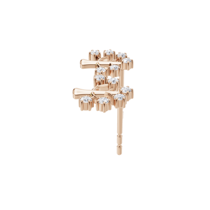 Dainty Brilliance Studs