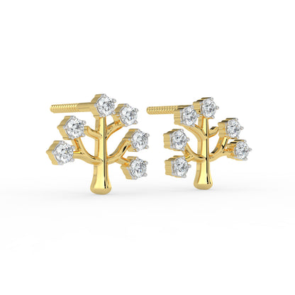 Dainty Brilliance Studs
