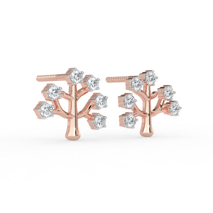 Dainty Brilliance Studs