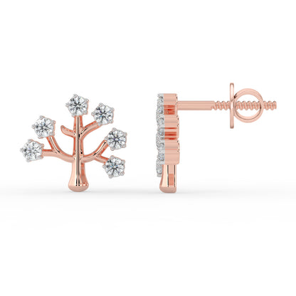 Dainty Brilliance Studs