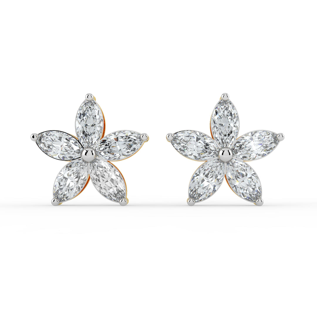 Regal Light Studs