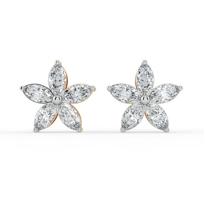 Regal Light Studs