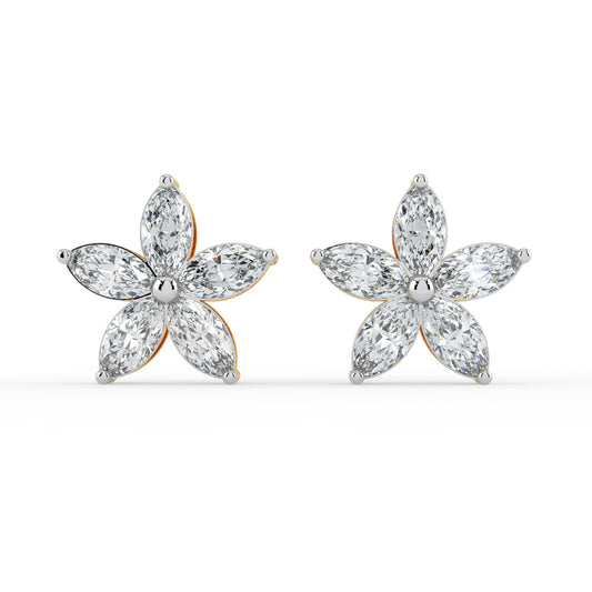 Regal Light Studs
