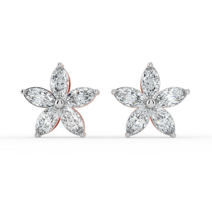Regal Light Studs