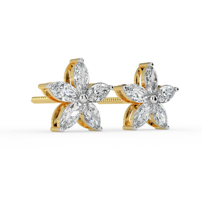 Regal Light Studs