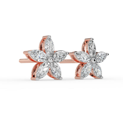 Regal Light Studs