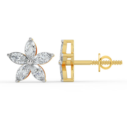Regal Light Studs