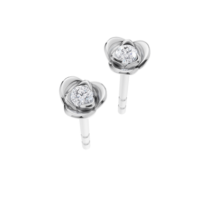 Lustrous Horizon Studs