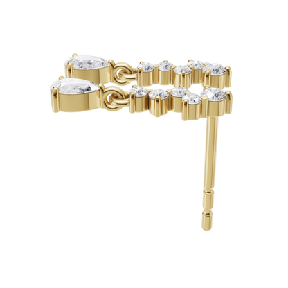 Chic Brilliance Earrings