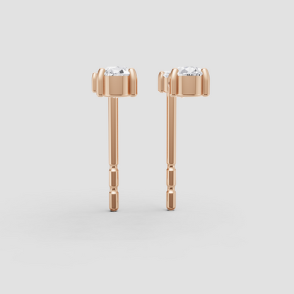 Chic Brilliance Earrings