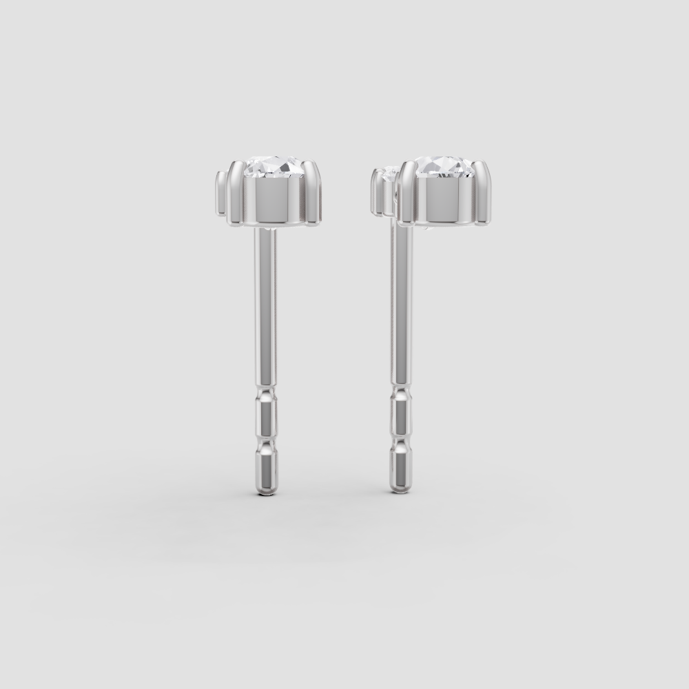 Chic Brilliance Earrings