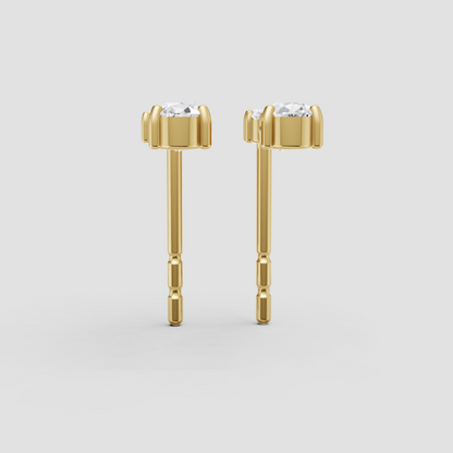 Chic Brilliance Earrings