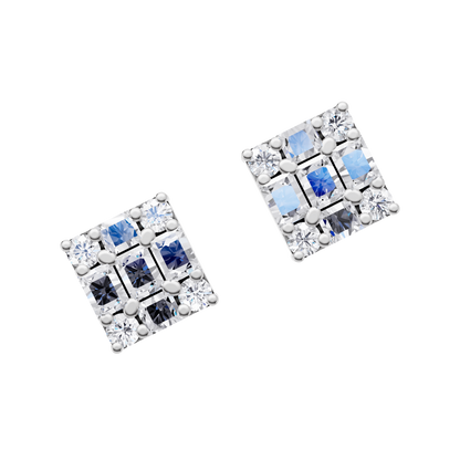 Glistening Charm Earrings