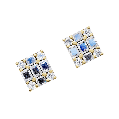 Glistening Charm Earrings