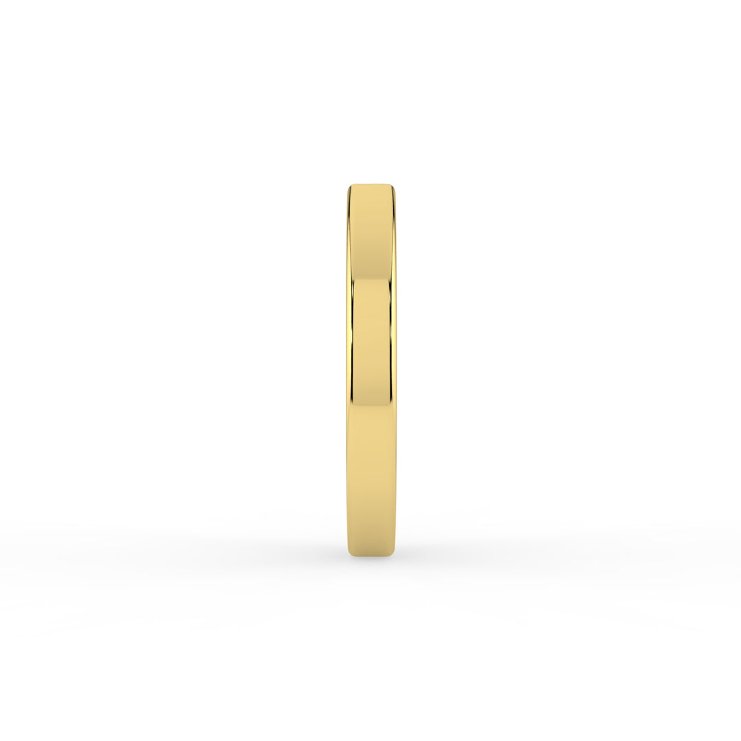 Daily Elegance Nose Ring