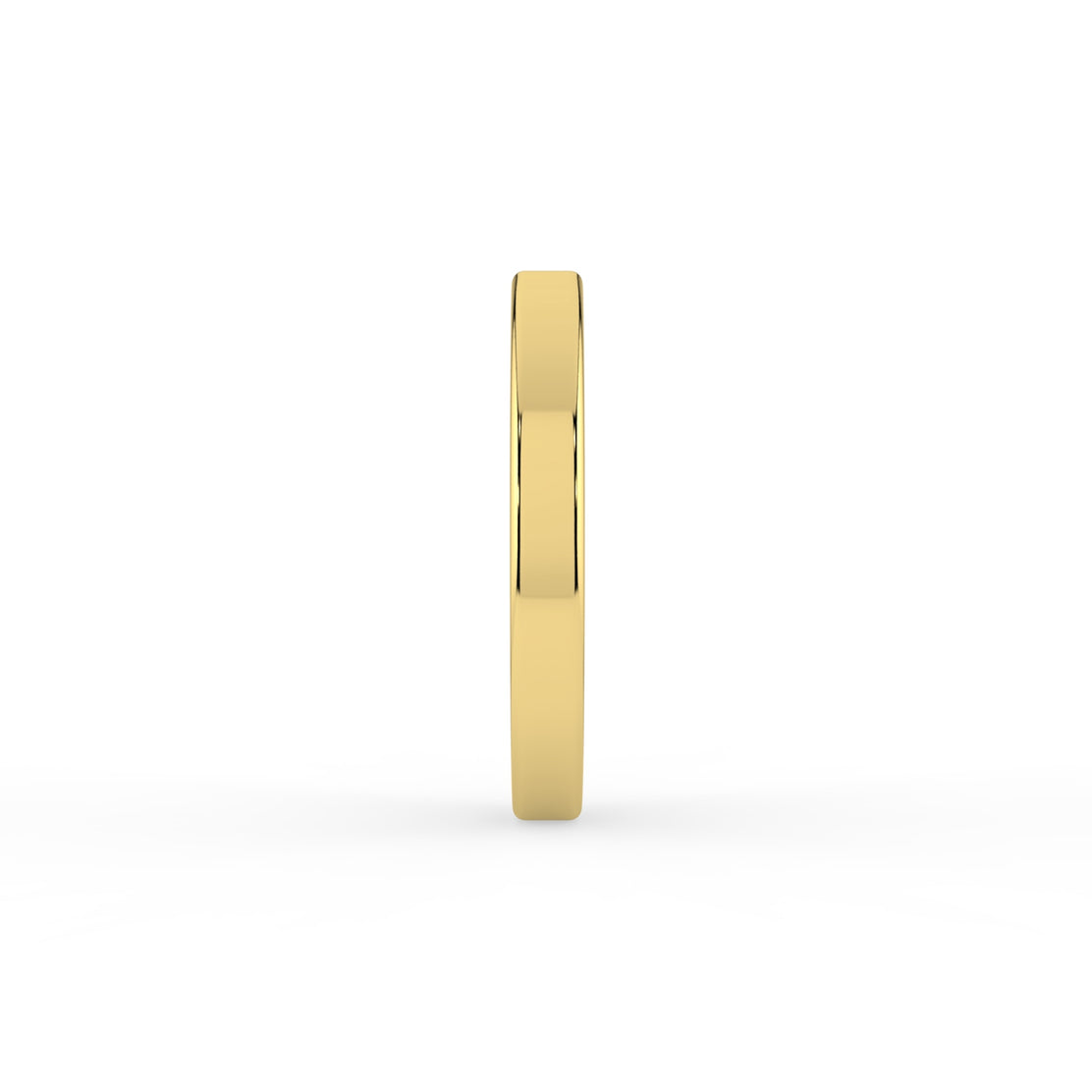 Daily Elegance Nose Ring