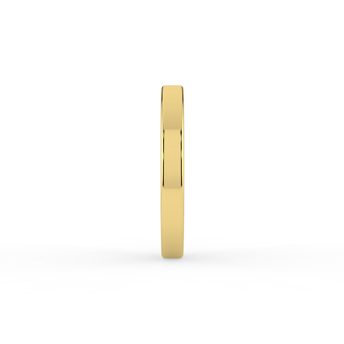 Daily Elegance Nose Ring